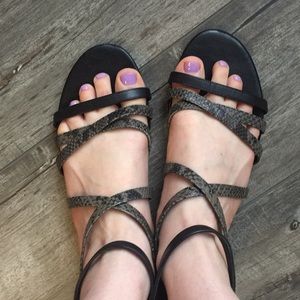 **Cole Haan Mercer Gladiator Sandals**